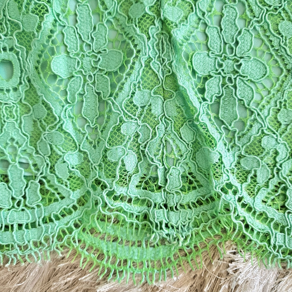 Lilly Pulizer Lace Dress - Picture 12 of 16